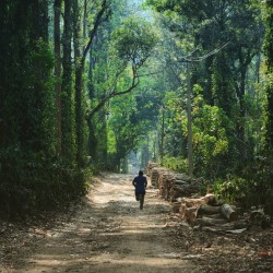 Coorg Wildlife Photography Tour 2N/3D ( 2N Coorg )